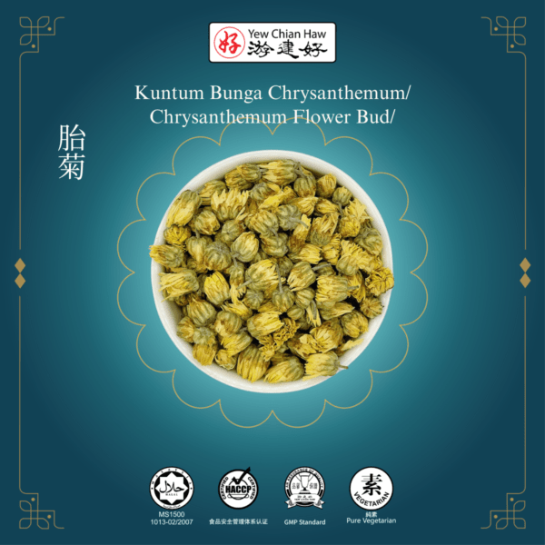 Kuntum Bunga Chrysanthemum/ Chrysanthemum Flower Bud/胎菊