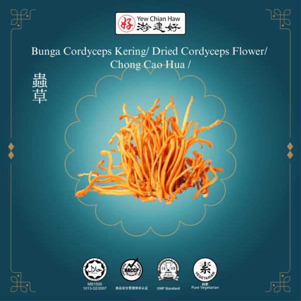 Bunga Cordyceps Kering / Dried Cordyceps Flower / Chong Cao Hua/蟲草花