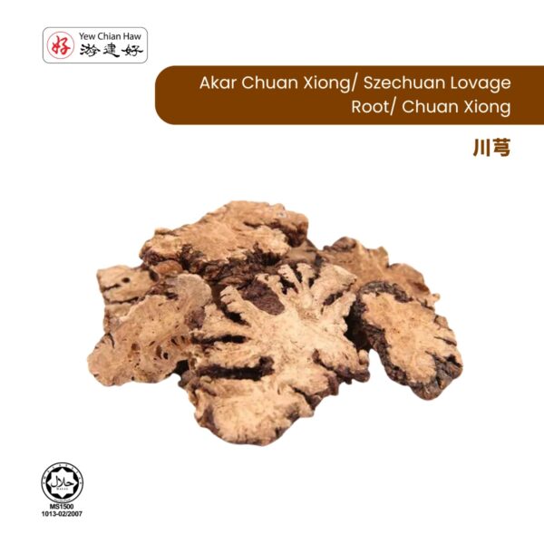 Akar Chuan Xiong / Szechuan Lovage Root / Chuan Xiong/川芎