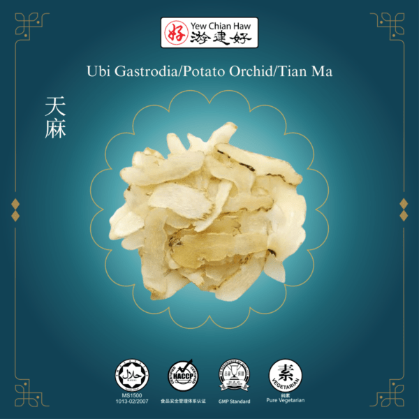 Ubi Gastrodia / Potato Orchid / Tian Ma / 天麻