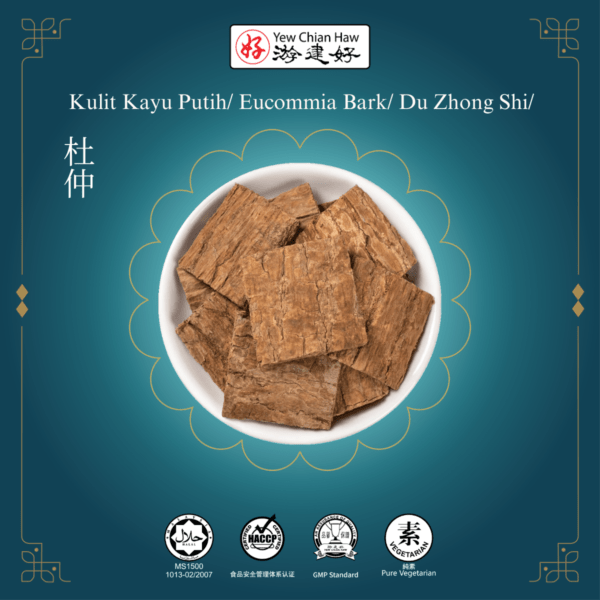 Kulit Kayu Putih/ Eucommia Bark/ Du Zhong Shi/杜仲