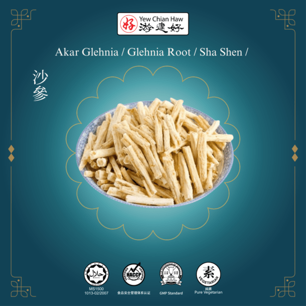 Akar Glehnia / Glehnia Root / Sha Shen / 沙參