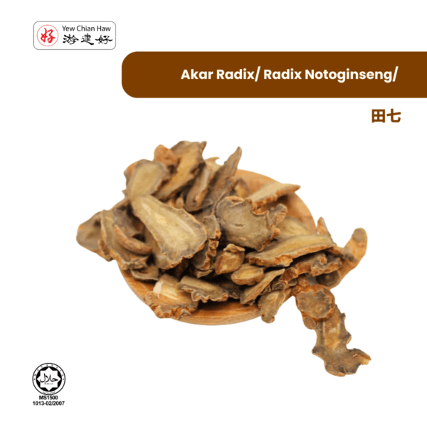 Akar Radix/ Radix Notoginseng/田七