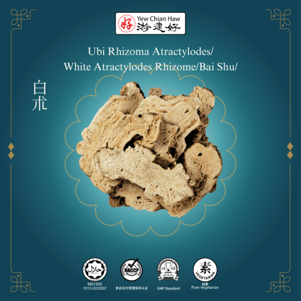 Ubi Rhizoma Atractylodes/White Atractylodes Rhizome/Bai Shu/白朮