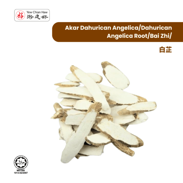 Akar Dahurican Angelica/Dahurican Angelica Root/Bai Zhi/白芷