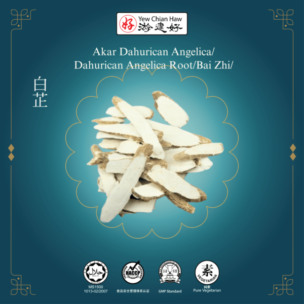 Akar Dahurican Angelica/Dahurican Angelica Root/Bai Zhi/白芷