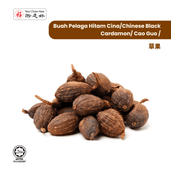 Buah Pelaga Hitam Cina/Chinese Black Cardamon/ Cao Guo /草果