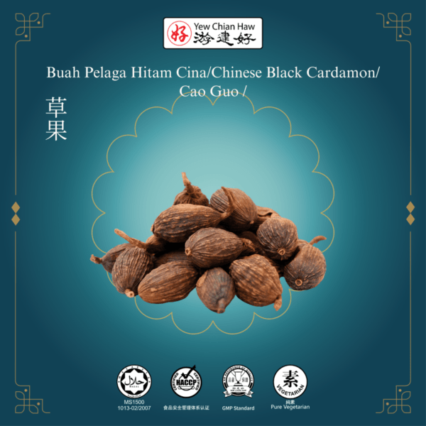 Buah Pelaga Hitam Cina/Chinese Black Cardamon/ Cao Guo /草果
