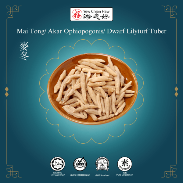 Mai Tong/ Akar Ophiopogonis/ Dwarf Lilyturf Tuber / 麥冬