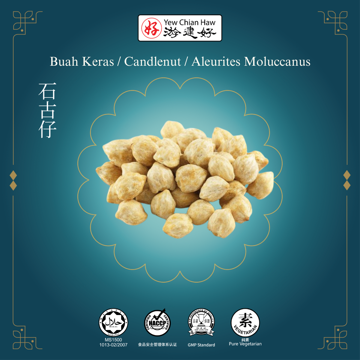 Buah Keras / Candlenut / Aleurites Moluccanus / 石古仔 – Yew Chian Haw