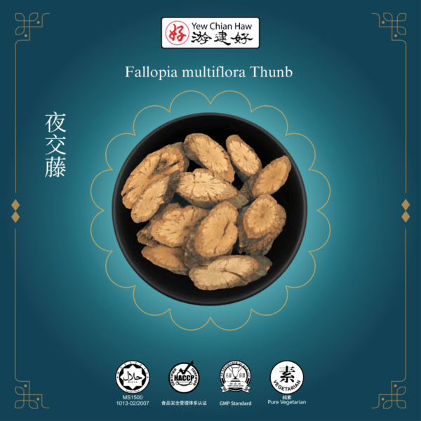 Fallopia multiflora Thunb 夜交藤