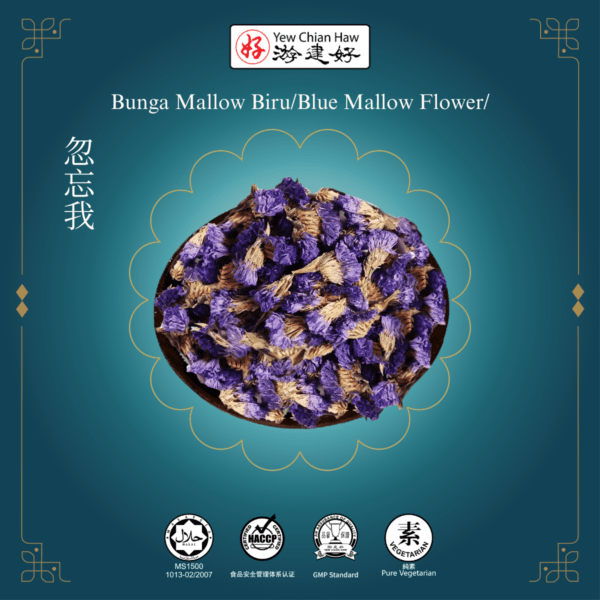 Bunga Mallow Biru/Blue Mallow Flower/忽忘我