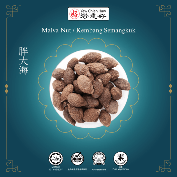 Dried Malva Nut / Kembang Semangkuk) / 胖大海