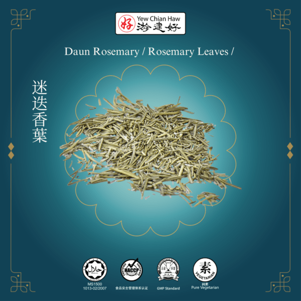 Daun Rosemary / Rosemary Leaves / 迷迭香葉