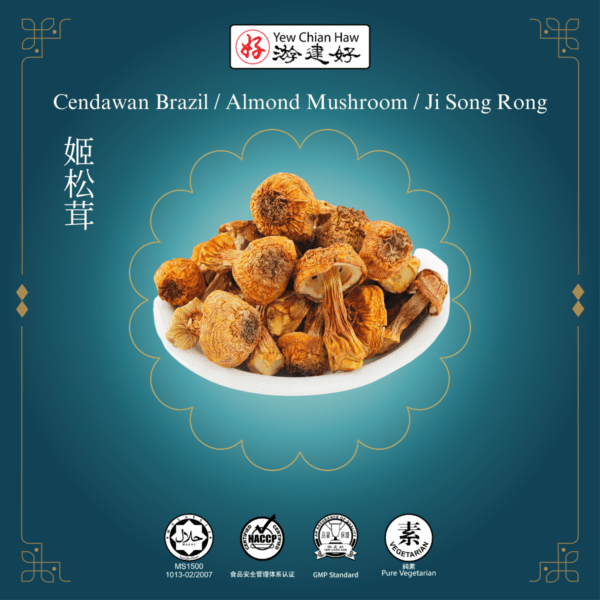 Cendawan Brazil / Almond Mushroom / Ji Song Rong / 姬鬆茸