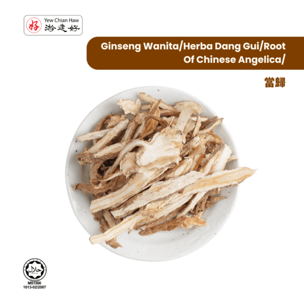Ginseng Wanita/Herba Dang Gui/Root Of Chinese Angelica/當歸