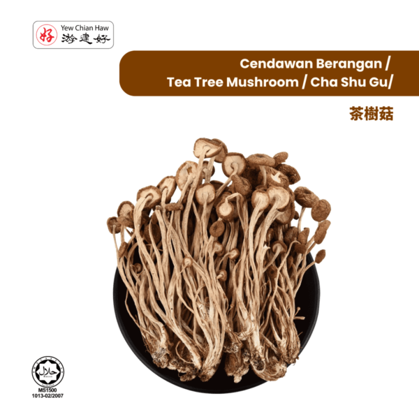 Cendawan Berangan / Tea Tree Mushroom / Cha Shu Gu/茶樹菇