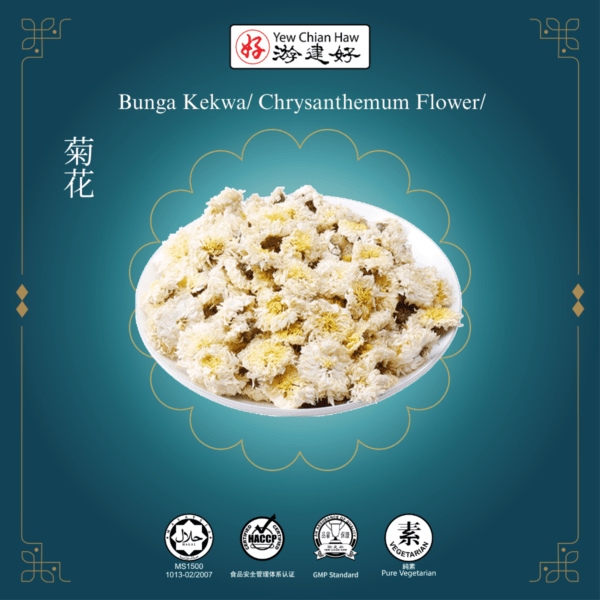 Bunga Kekwa/Chrysanthemum Flower/菊花
