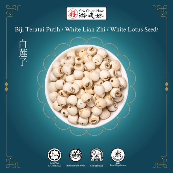 Biji Teratai Putih / White Lian Zhi / White Lotus Seed/白莲子