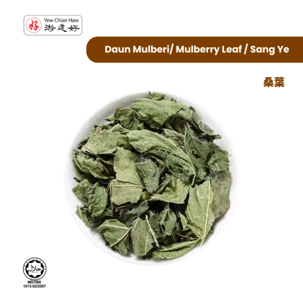 Daun Mulberi/ Mulberry Leaf / Sang Ye/ 桑叶