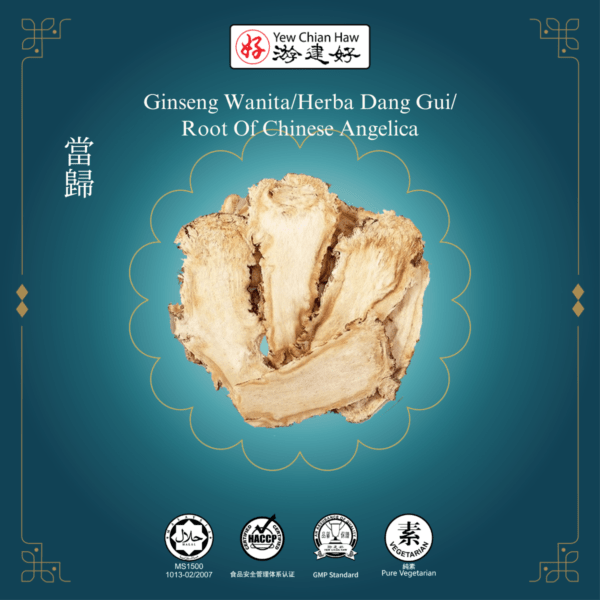 Ginseng Wanita/Herba Dang Gui/Root Of Chinese Angelica/當歸