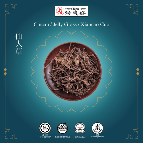 Cincau / Jelly Grass / Xiancao / 仙草