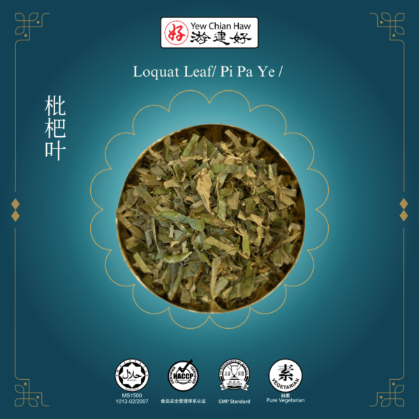 Loquat Leaf/ Pi Pa Ye / 枇杷叶