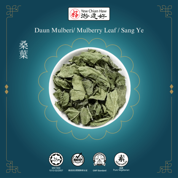 Daun Mulberi/ Mulberry Leaf / Sang Ye/ 桑叶