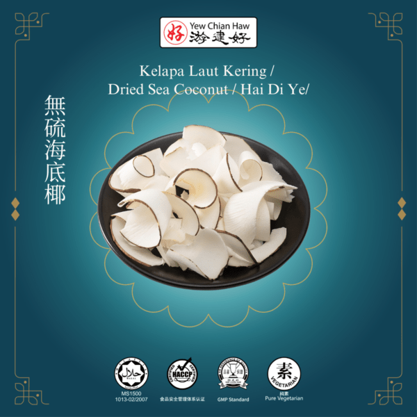 Kelapa Laut Kering / Dried Sea Coconut / Hai Di Ye/無硫海底椰