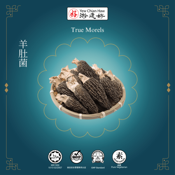 True Morels / Yang Du Jun / 羊肚菌