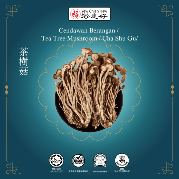 Cendawan Berangan / Tea Tree Mushroom / Cha Shu Gu/茶樹菇