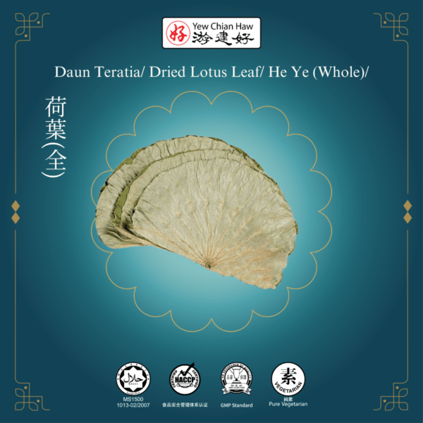 Daun Teratia/ Dried Lotus Leaf/ He Ye (Whole)/荷葉(全)