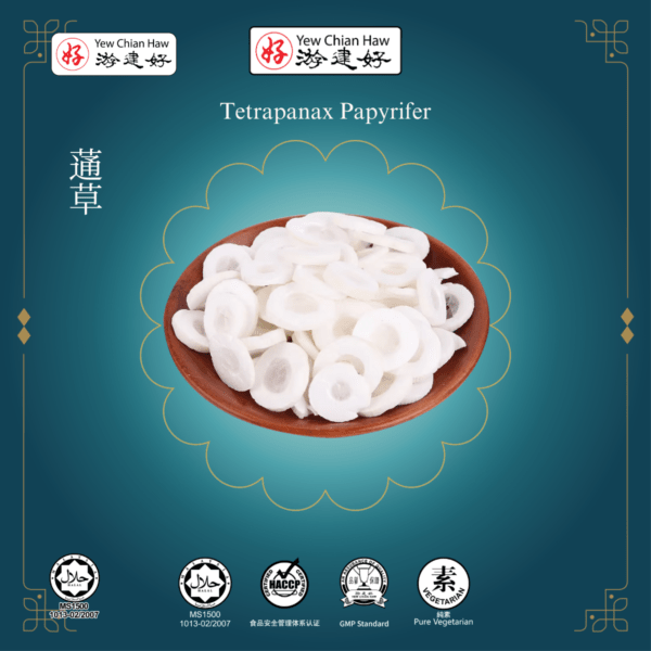 Tetrapanax Papyrifer / Tong Cao / 蓪草
