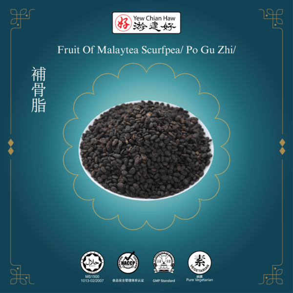 Fruit Of Malaytea Scurfpea/ Po Gu Zhi/補骨脂