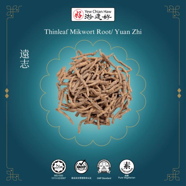 Thinleaf Milkwort Root / Yuan Zhi / 远志