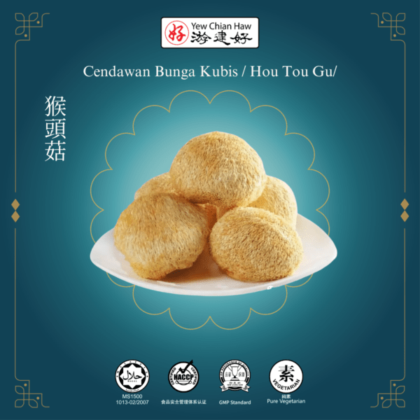 Cendawan Bunga Kubis/ Hou Tou Gu / 猴头菇