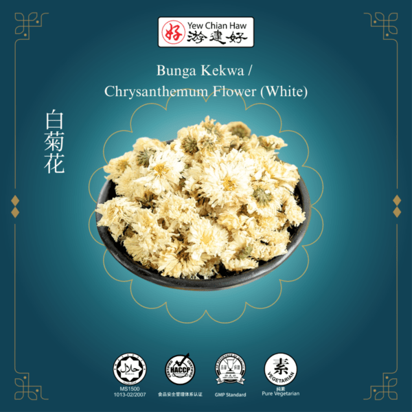 Bunga Kekwa / Chrysanthemum Flower (White) / 白菊花