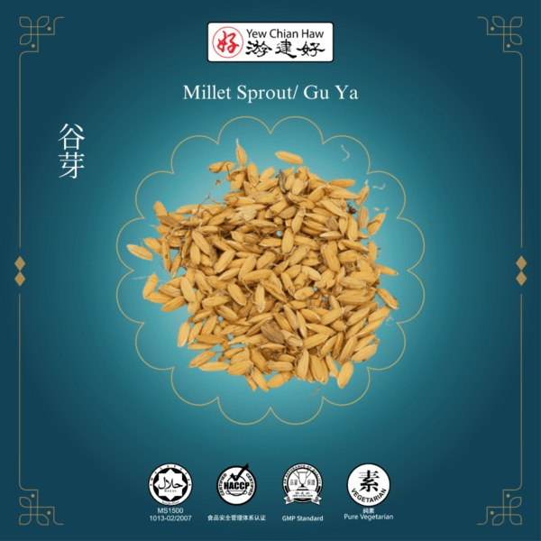 Millet Sprout / Gu Ya / 谷芽