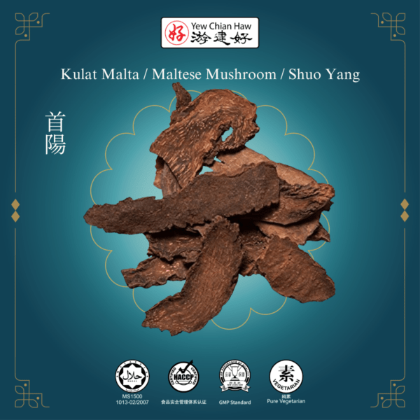 Kulat Malta / Maltese Mushroom / Shuo Yang / 首阳