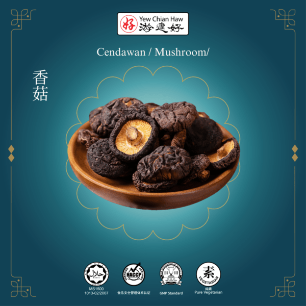 Cendawan / Mushroom/香菇