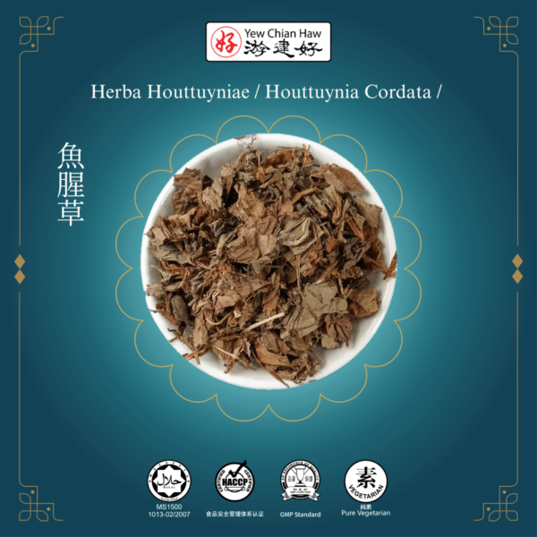 Herba Houttuyniae / Houttuynia Cordata / 魚腥草