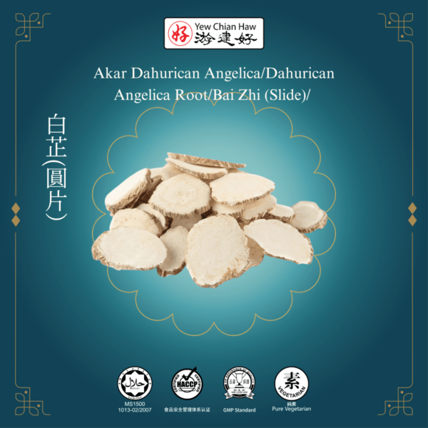 Akar Dahurican Angelica/Dahurican Angelica Root/Bai Zhi (Slide)/ 白芷(圓片）