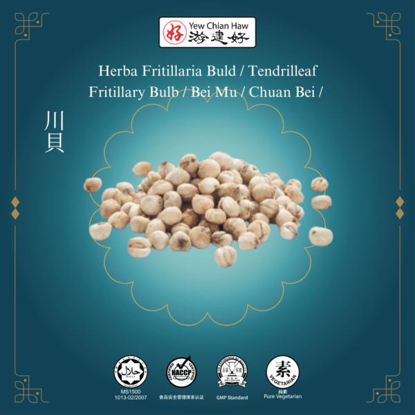 Herba Fritillaria Buld / Tendrilleaf Fritillary Bulb / Bei Mu / Chuan Bei / 川貝