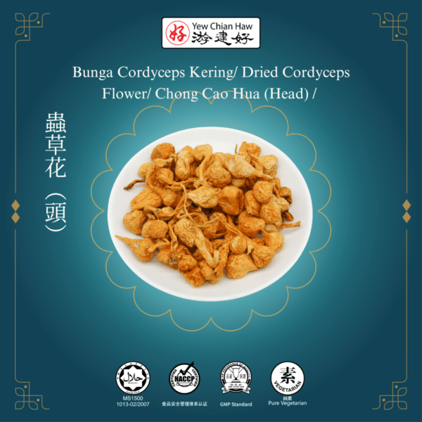 Bunga Cordyceps Kering/ Dried Cordyceps Flower/ Chong Cao Hua (Head) 蟲草頭