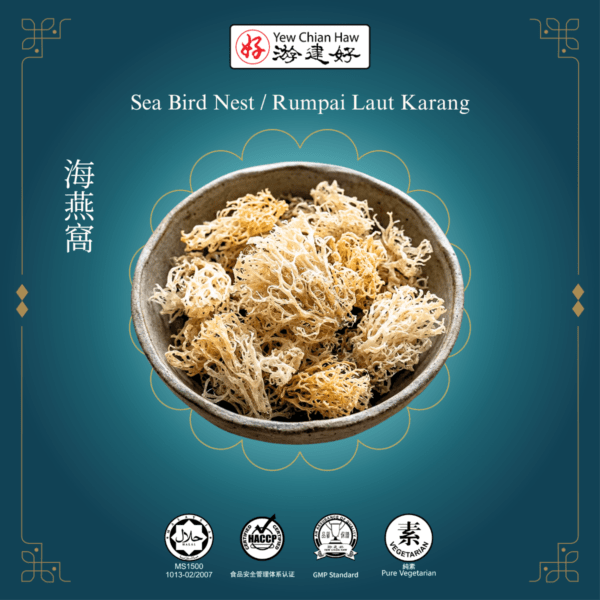 Sea Bird Nest / Rumpai Laut Karang 海燕窩