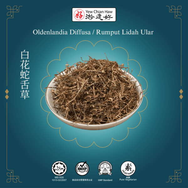 Oldenlandia Diffusa / Rumput Lidah Ular 白花蛇舌草