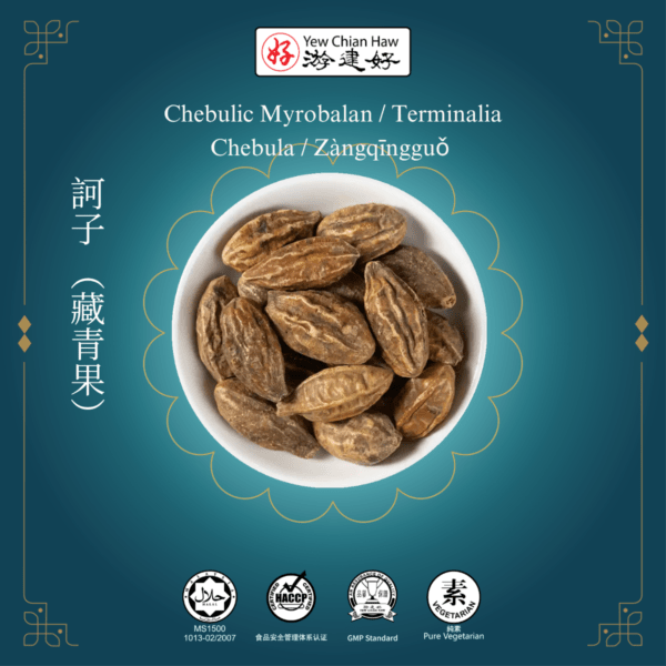 Chebulic Myrobalan / Terminalia Chebula / Zàngqīngguǒ 訶子 （藏青果）